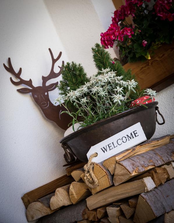 Monti Pallidi B&B Apartments Corvara In Badia Esterno foto