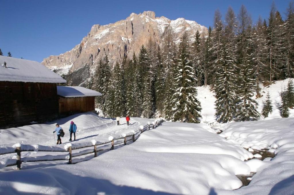 Monti Pallidi B&B Apartments Corvara In Badia Esterno foto