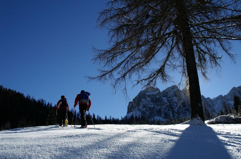 Monti Pallidi B&B Apartments Corvara In Badia Esterno foto